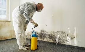 Best Mold Removal for HVAC Installations  in St Joseph, MN