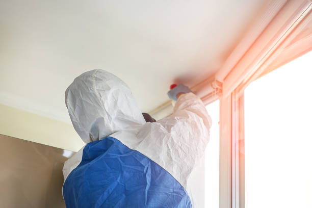 Best Residential Mold Inspection & Testing  in St Joseph, MN