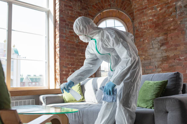 Best Mold Remediation for Healthcare Facilities  in St Joseph, MN