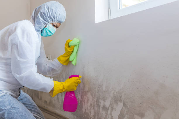 Asbestos and Lead Testing During Mold Inspection