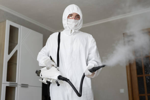 Best Asbestos and Lead Testing During Mold Inspection  in St Joseph, MN